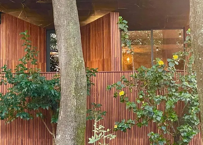Casa Roma * Mexico City